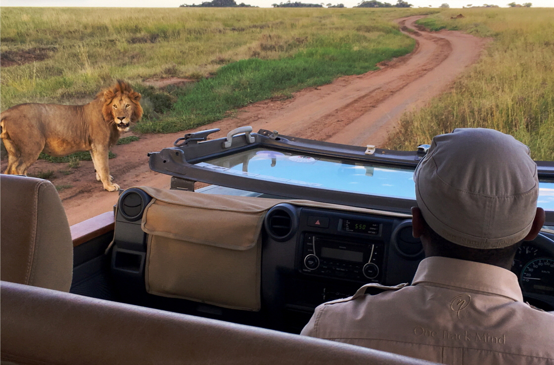 One Nature  Nyaruswiga camp Serengeti