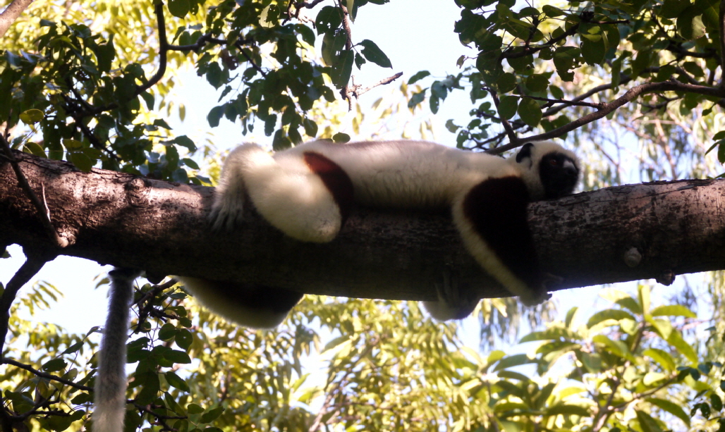 Madagaskar-Reisetipps Madagaskar-Reisetipps