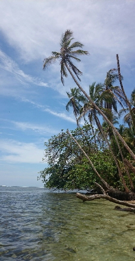 corcovado-costarica-osa