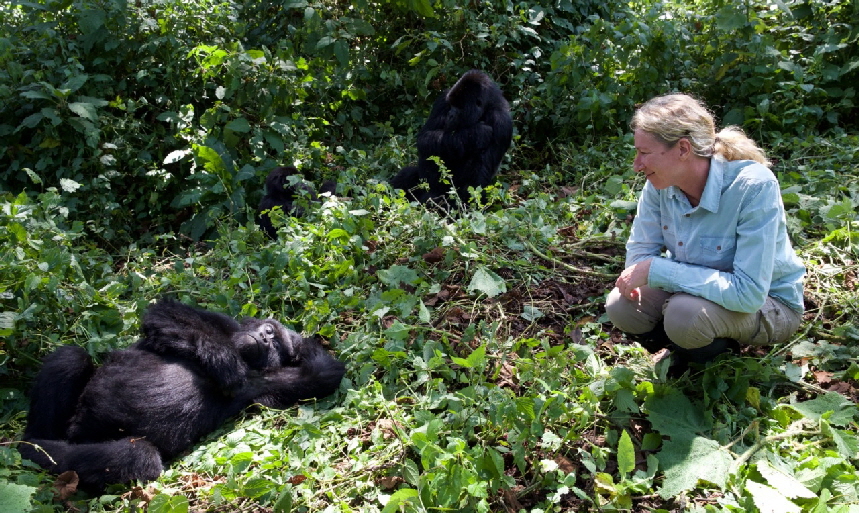 dian-fossey-gorillas Reisebericht