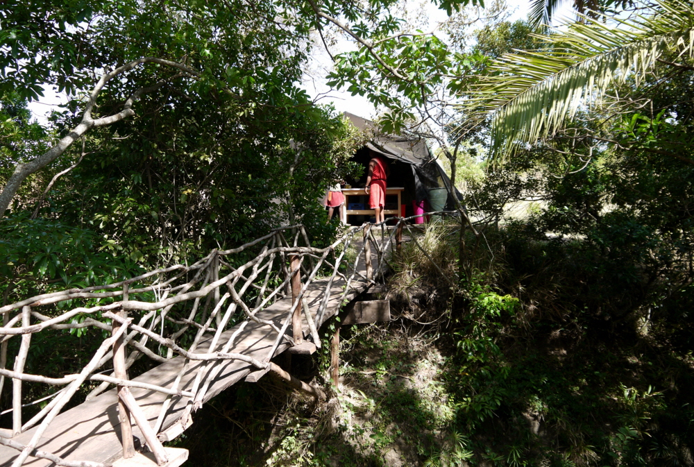Elephant Pepper Camp Kenia 