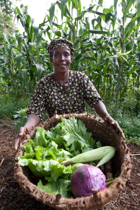 gibbs-farm-ngorongoro-tansania_0012