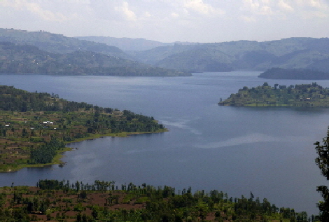 gorilla-trekking-ruanda-virungas