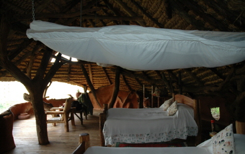 il ngwesi Lodge Kenia