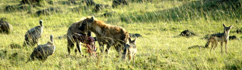 karen-blixencamp-masaimara_0070