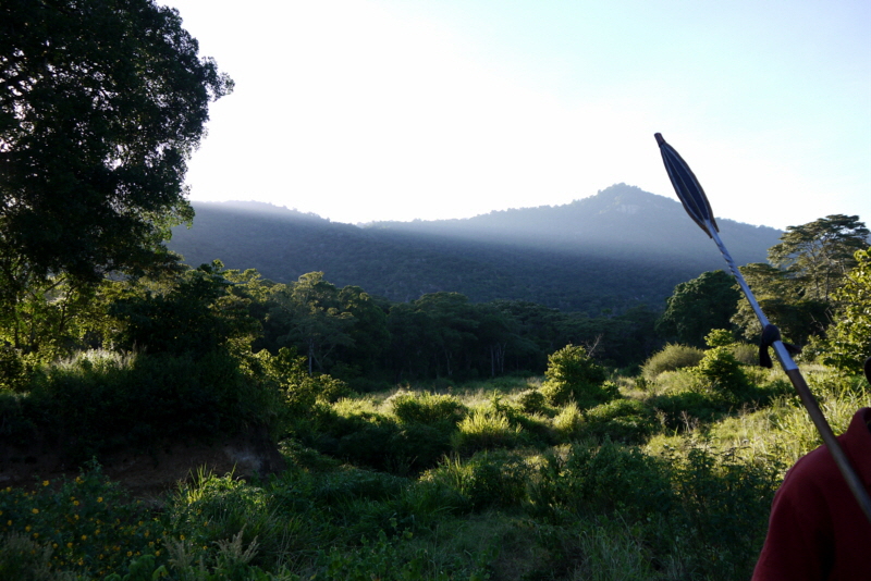 Kitiich kenia 