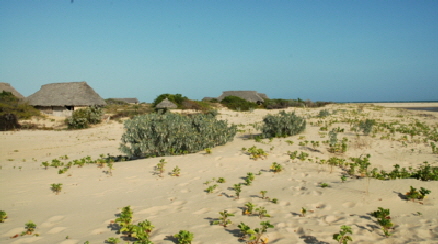 Lamu Kizingo