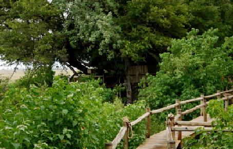 Kwetsani camp Botswana