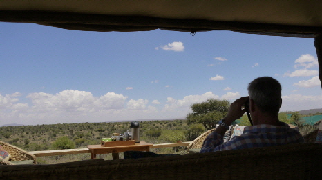 Im Laikipia Hochland, Kenia