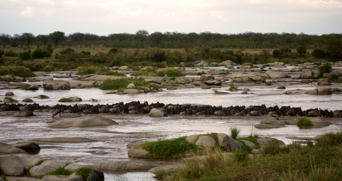 Crossing am Mara Fluss