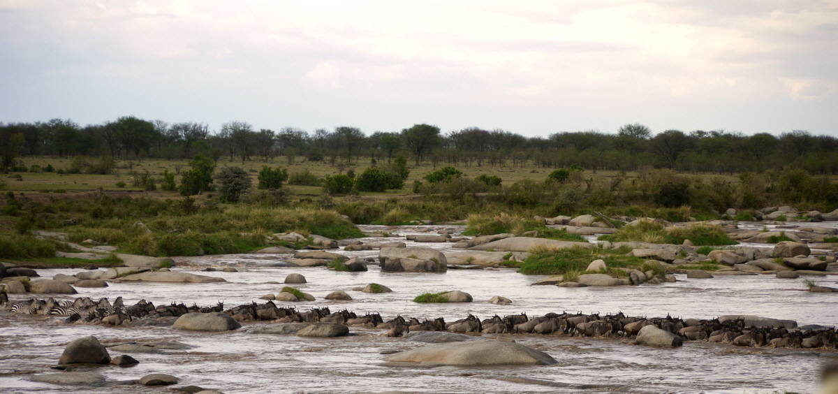 Crossing am Mara Fluss