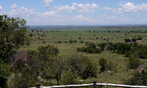 lamai-serengeti_0004