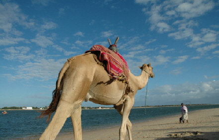 Insel Lamu Kenia