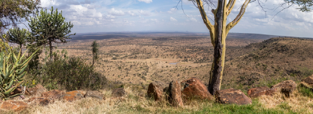 loisaba-kenia-safari