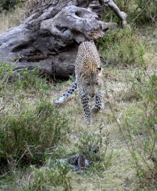 mahali-muzuri- Kenia