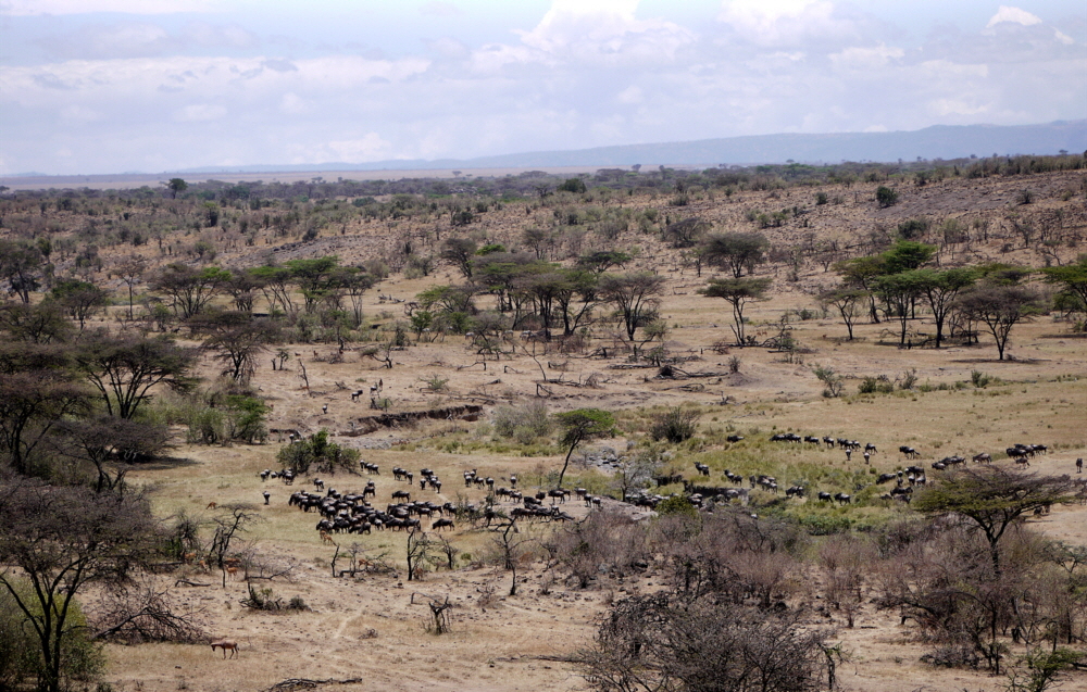 Mahali Mzuri Lodge Kenia 