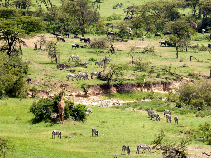 Mahali Mzuri Lodge Kenia 