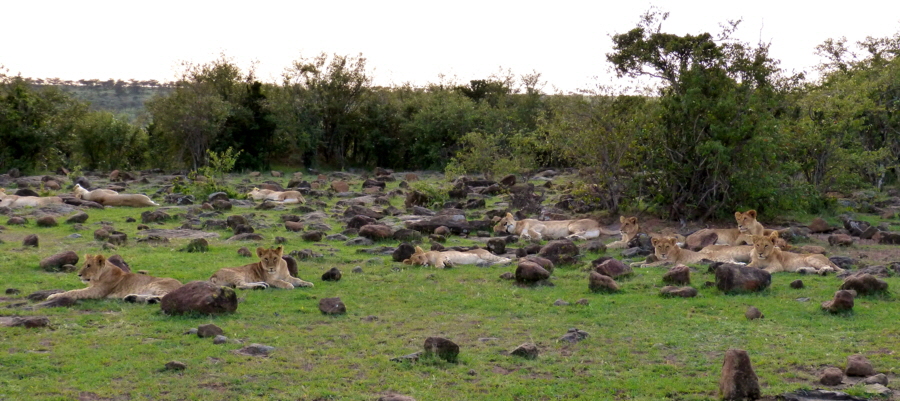 Mahali Mzuri Lodge Kenia 