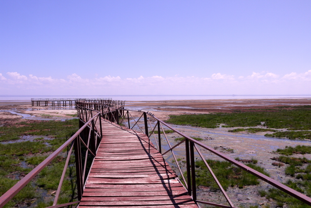 Lake Manyara Maji Moto