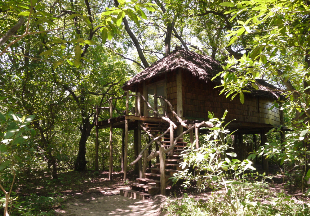 Lake Manyara Treelodge