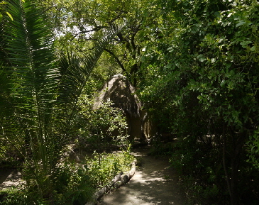 maun-royal-tree-lodge