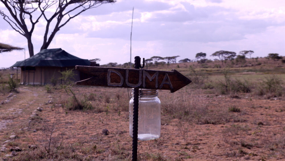 Namiri Plains Serengeti 