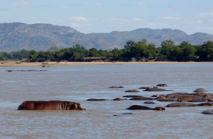 Puku Ridge Sambia