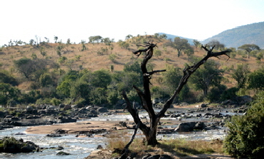 Ruaha Tansania