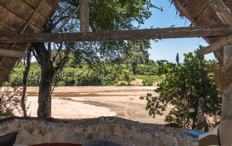 Safari in Ruaha mwagusicamp