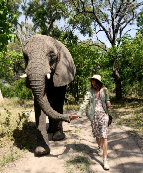 safari-okavangodelta-botswana