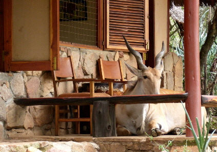 saruni-mara-lodge