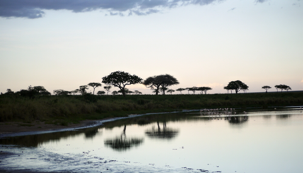  Serengeti Pioneer camp  Lake Moru