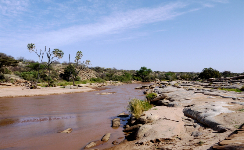 Luxus- Safari in Kenia 