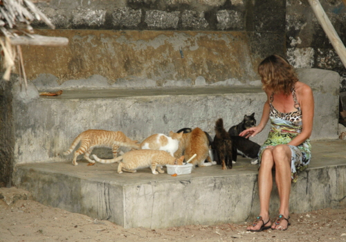 Lamu island