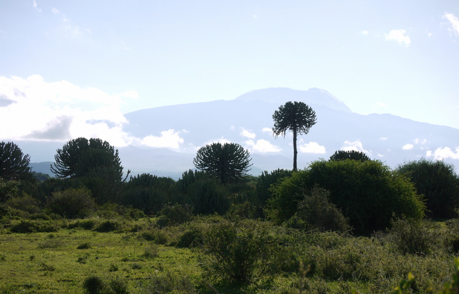 Shumata Camp Tansania