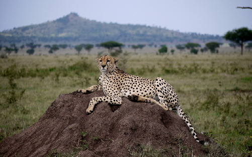 singita-faru-k_0059