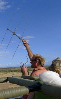 Wildhunde tracking