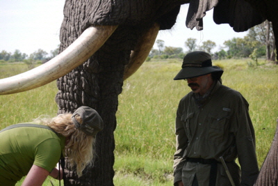 Stanleys Camp  Botswana