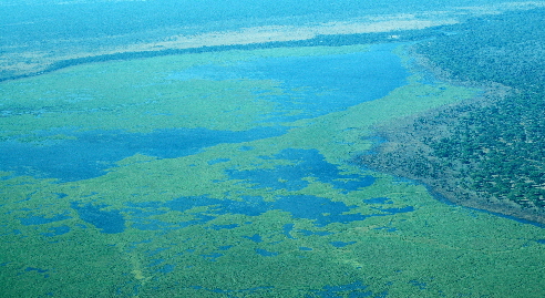 suedtansania-katavi-ruaha