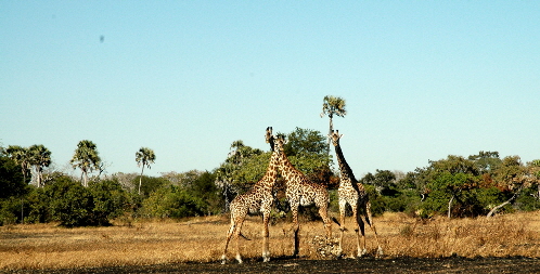 suedtansania-katavi-tansania