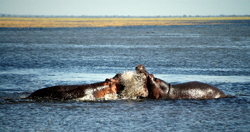 suedtansania-katavi-ruaha