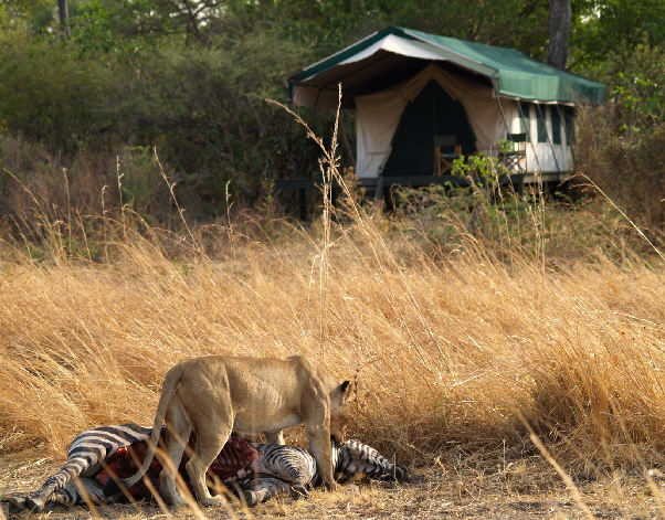 suedtansania-katavi-safari