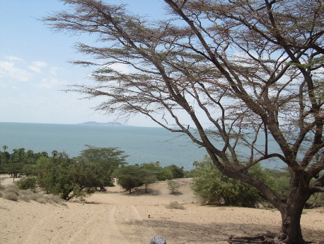 turkana