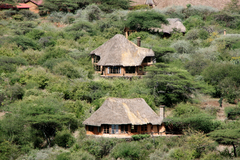Lewa Wilderness Trails 